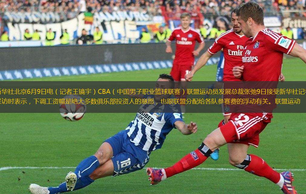 懷特穩定輸